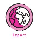 flash diag export