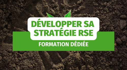 dév strat rse