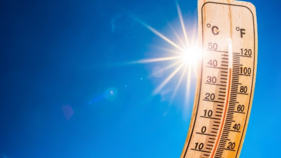 Alerte canicule
