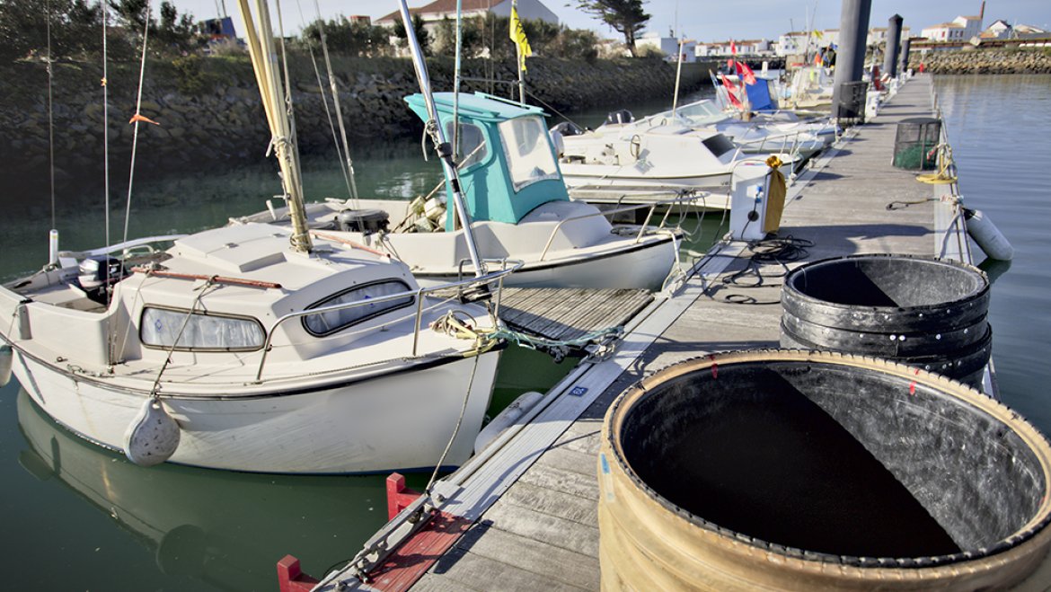 port de pêche de l'Ile d'Yeu