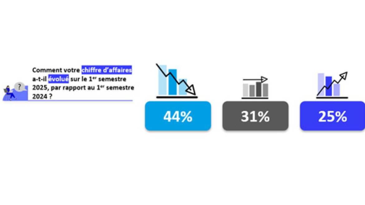 Evolution chiffre d'affaires