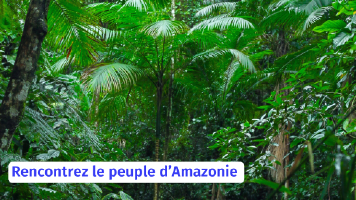 Lancement du programme « Territoires d’Arbres »