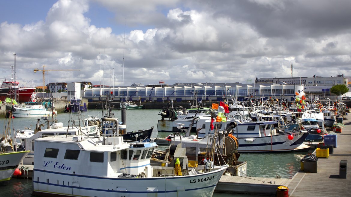 Port de pêche des Sables d'Olonne