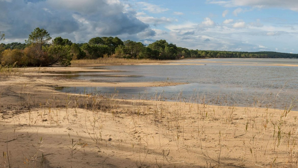 Niveau d'eau très bas dans un étang