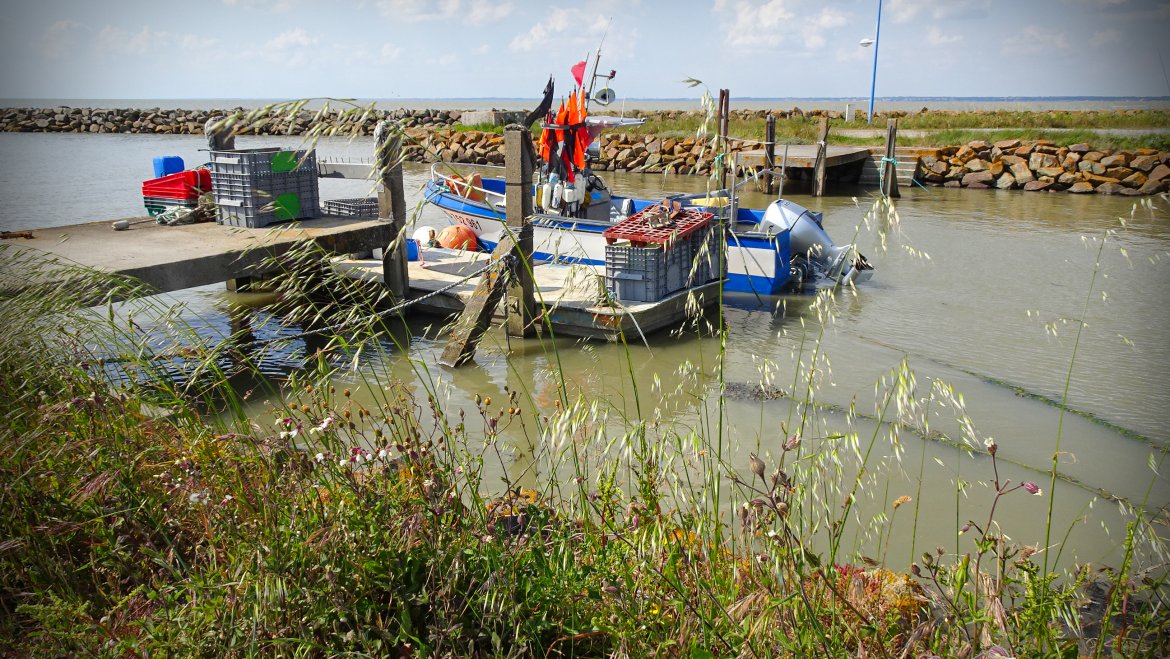 Port des Brochets