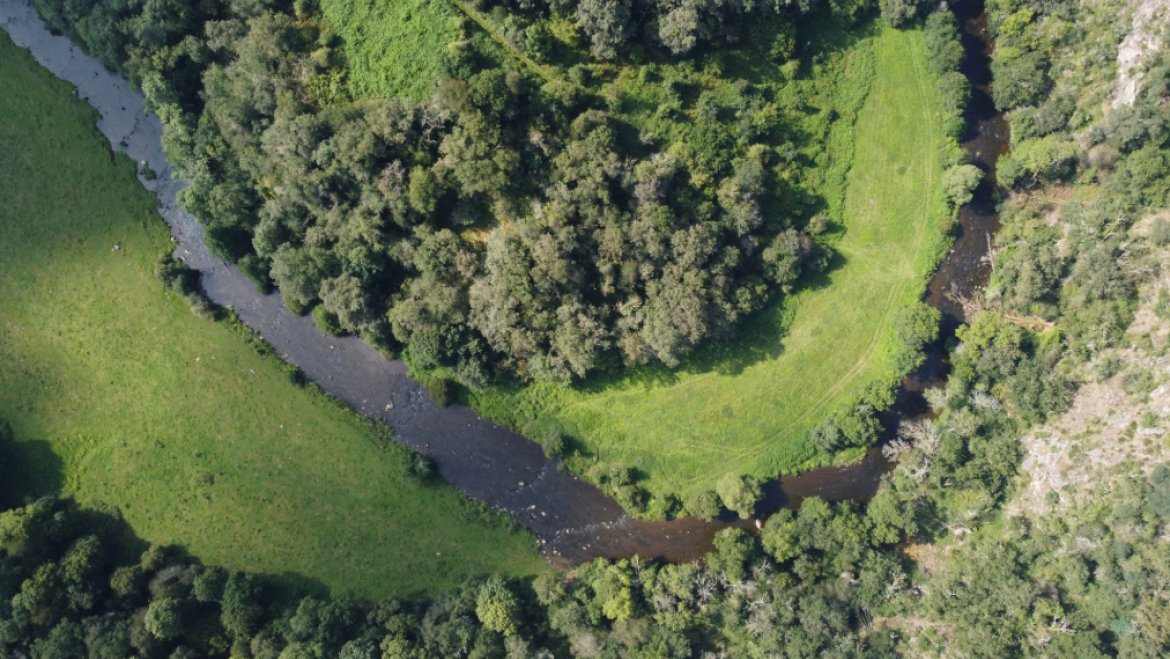 La Sarthe en amont de Saint-Léonard des Bois.