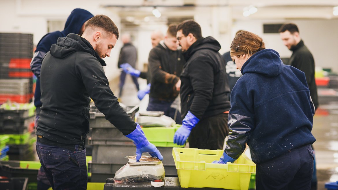 Tri des poissons au Centre de marée