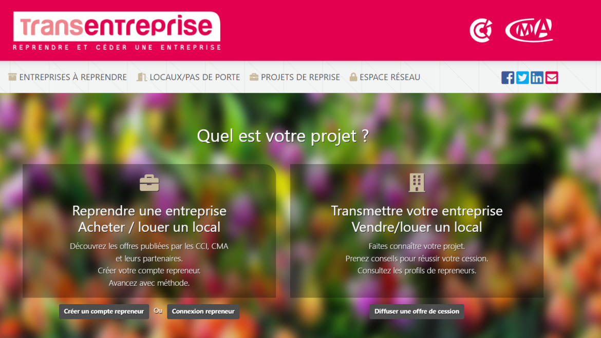 Site internet Transentreprise