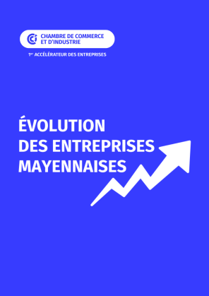 Evolution des entreprises mayennaises 2025