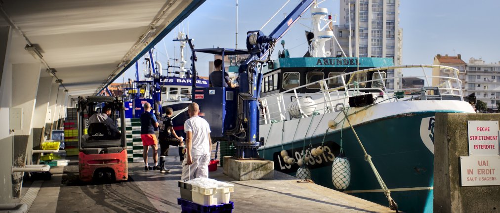 Quai du port de pêche des Sables d'Olonne