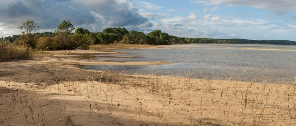 Niveau d'eau très bas dans un étang