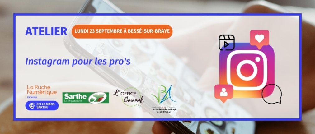 Visuel atelier de la Ruche numérique de la CCI : Instagram pour les pro's