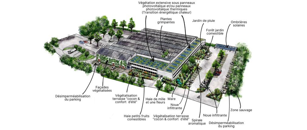 Projet de rénovation de l'usine Garczynski Traploir au Mans dans le cadre du réchauffement climatique.