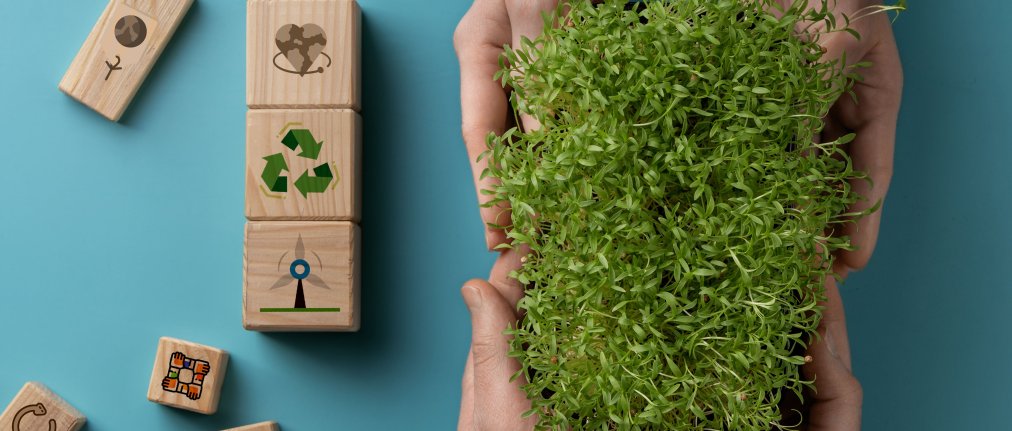 ECOCONCEPTION