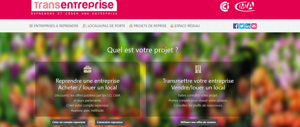 Site internet Transentreprise